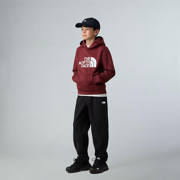 Felpa con cappuccio e logo PEAKBORDO THE NORTH FACE